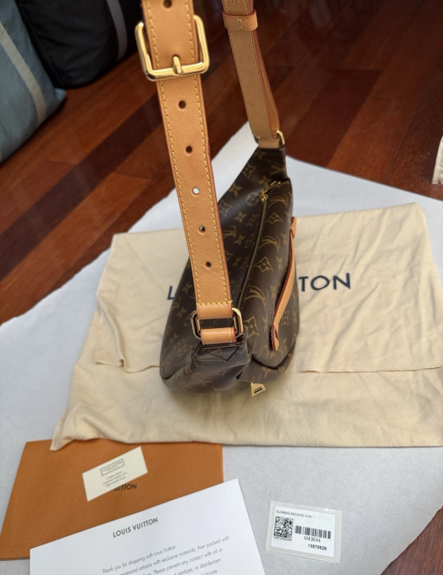 Louis Vuitton Authentic Bumbag Monogram