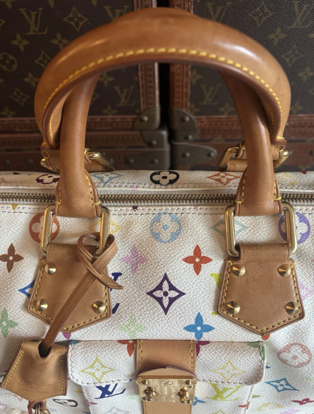 Louis Vuitton Takashi Murakami Multicolor Speedy 30 Monogram White Limited